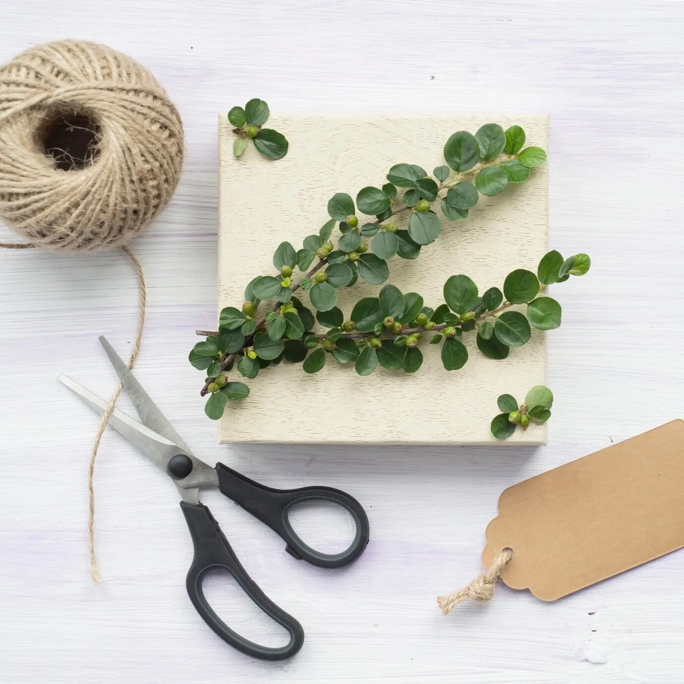 Grüner Zweig mit Beeren, Etikett, Schere und Schnurspule auf einem Hintergrund mit Holzstruktur.